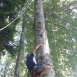 Grimp'Arbre