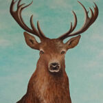 cerf2