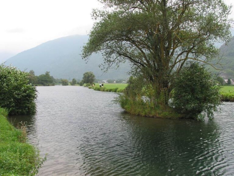 le-ruisseau-antignac-luchon-3 truite luchonnaise
