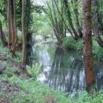 le-ruisseau-antignac-luchon-truite luchonnaise 1